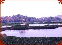 Powai Lake, Maharastra