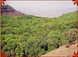 Matheran Hill Stations, Maharashtra