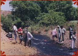 Trekking in Waki Woods